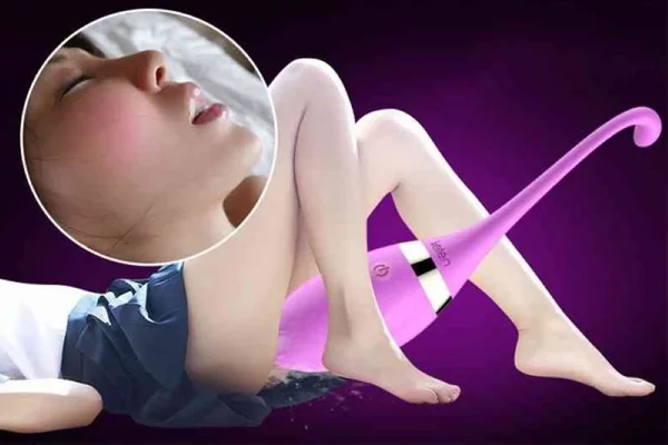 Ảnh 2 minh hoạ máy mát xa vùng kín