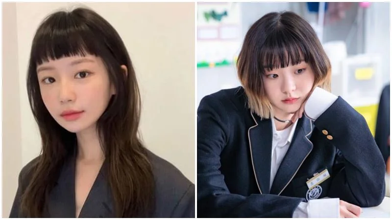 toc-mai-ngo