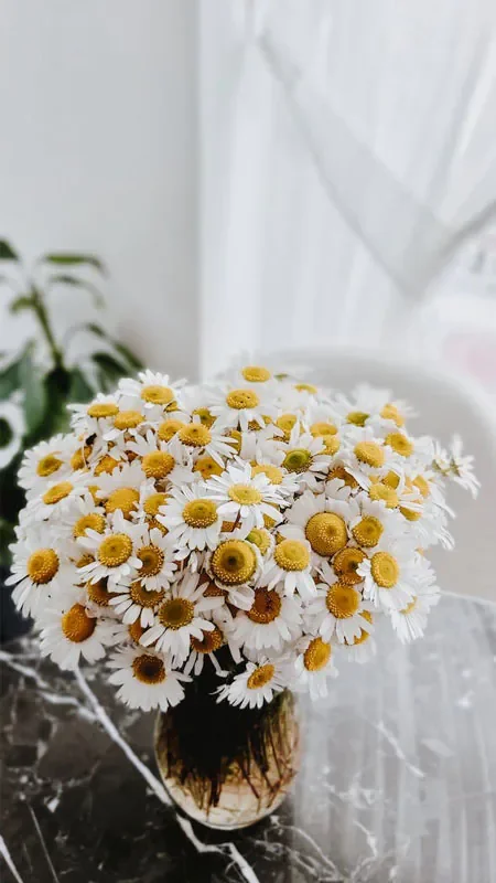 Hình nền chill về các loại hoa - hình 8