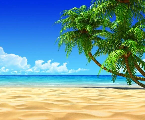 Hình nền biển với hàng cây cọ bên bãi cát vàng dưới trời xanh