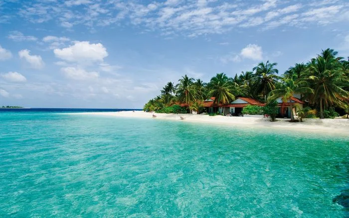 hình nền biển với resort ẩn mình trong hàng cây
