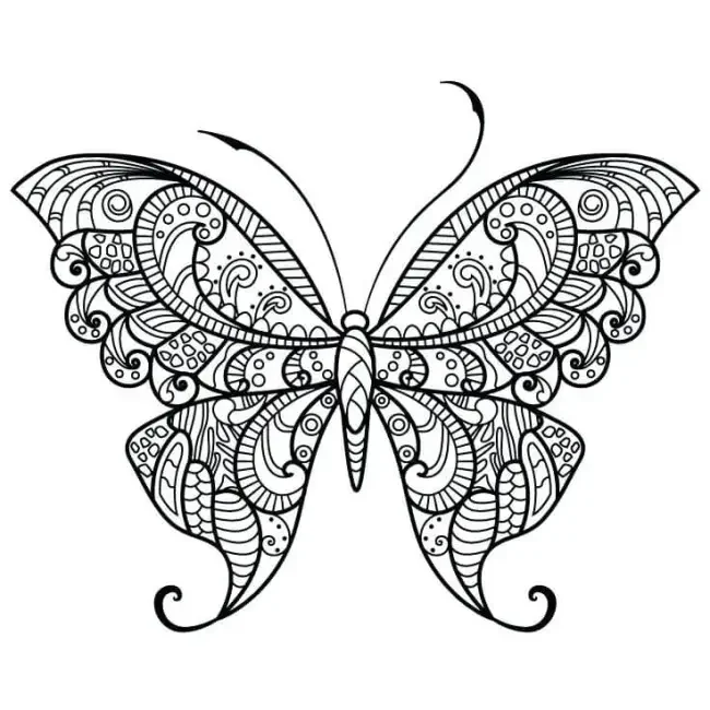 Hình con bướm đẹp với họa tiết zentangle nghệ thuật trên nền trắng.