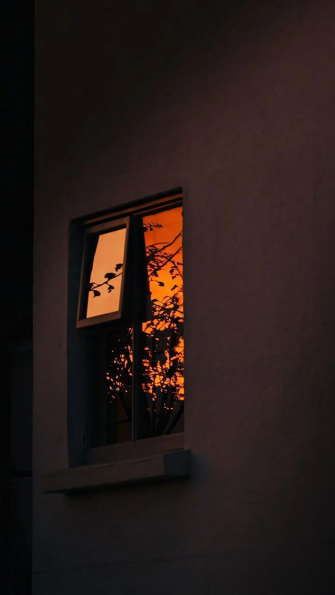 Tâm tư được mã hóa bằng nội dung hình ảnh