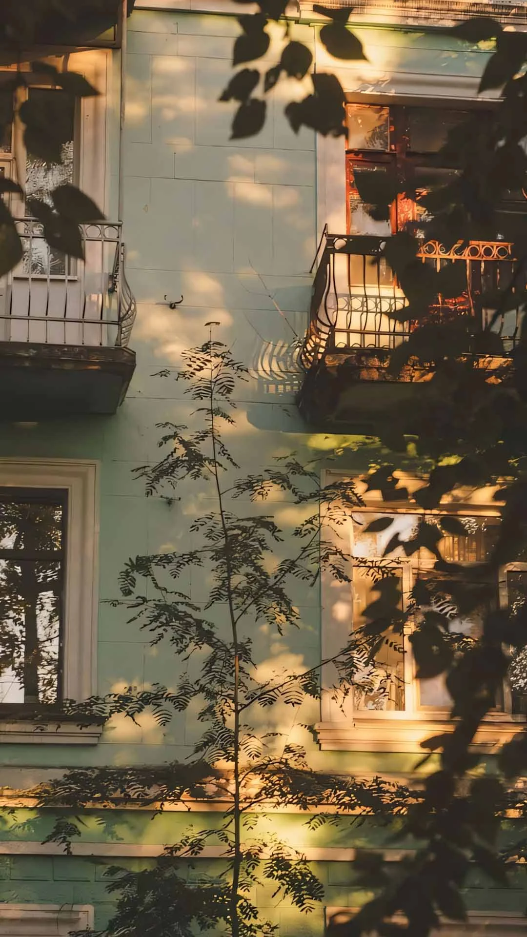 Cảm xúc tiêu cực và sự an ủi