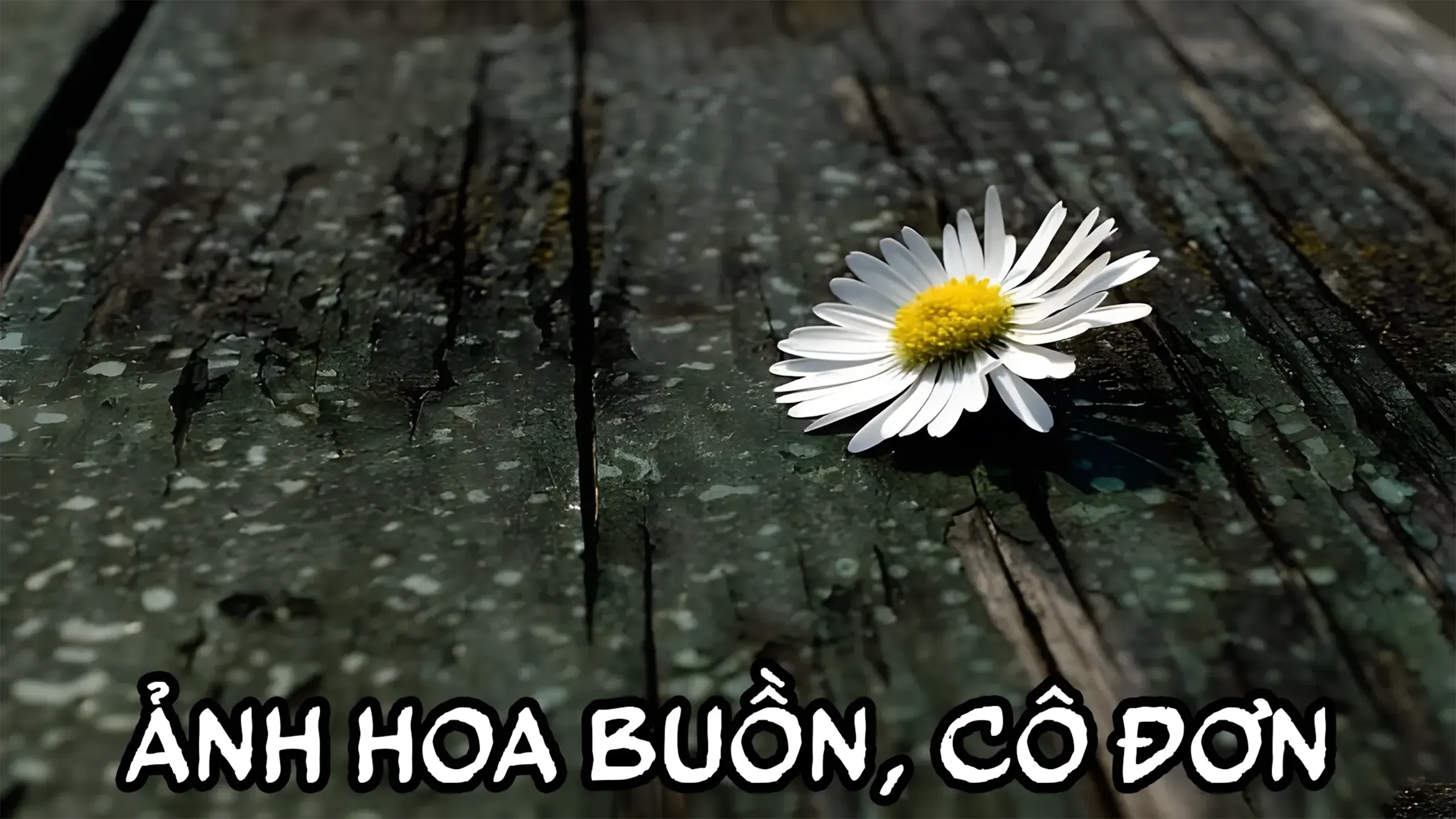 anh hoa buon 1
