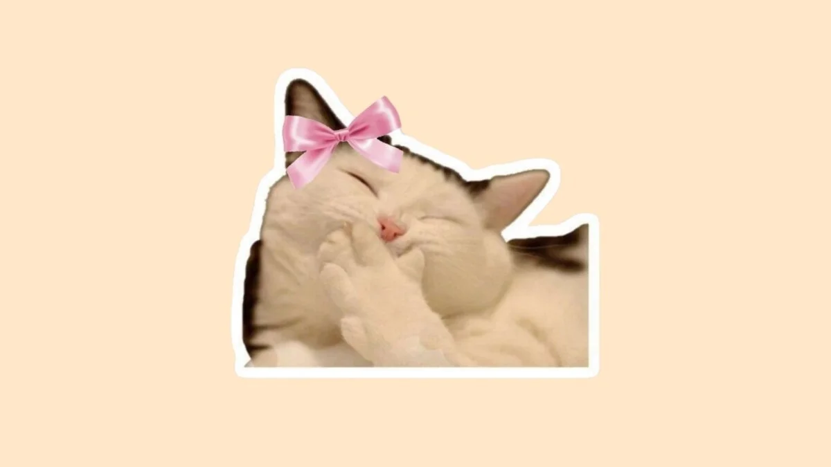 Hình con mèo cute 41
