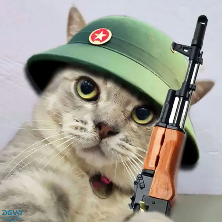 ảnh meme mèo đeo mũ cối cầm súng cực hài hước