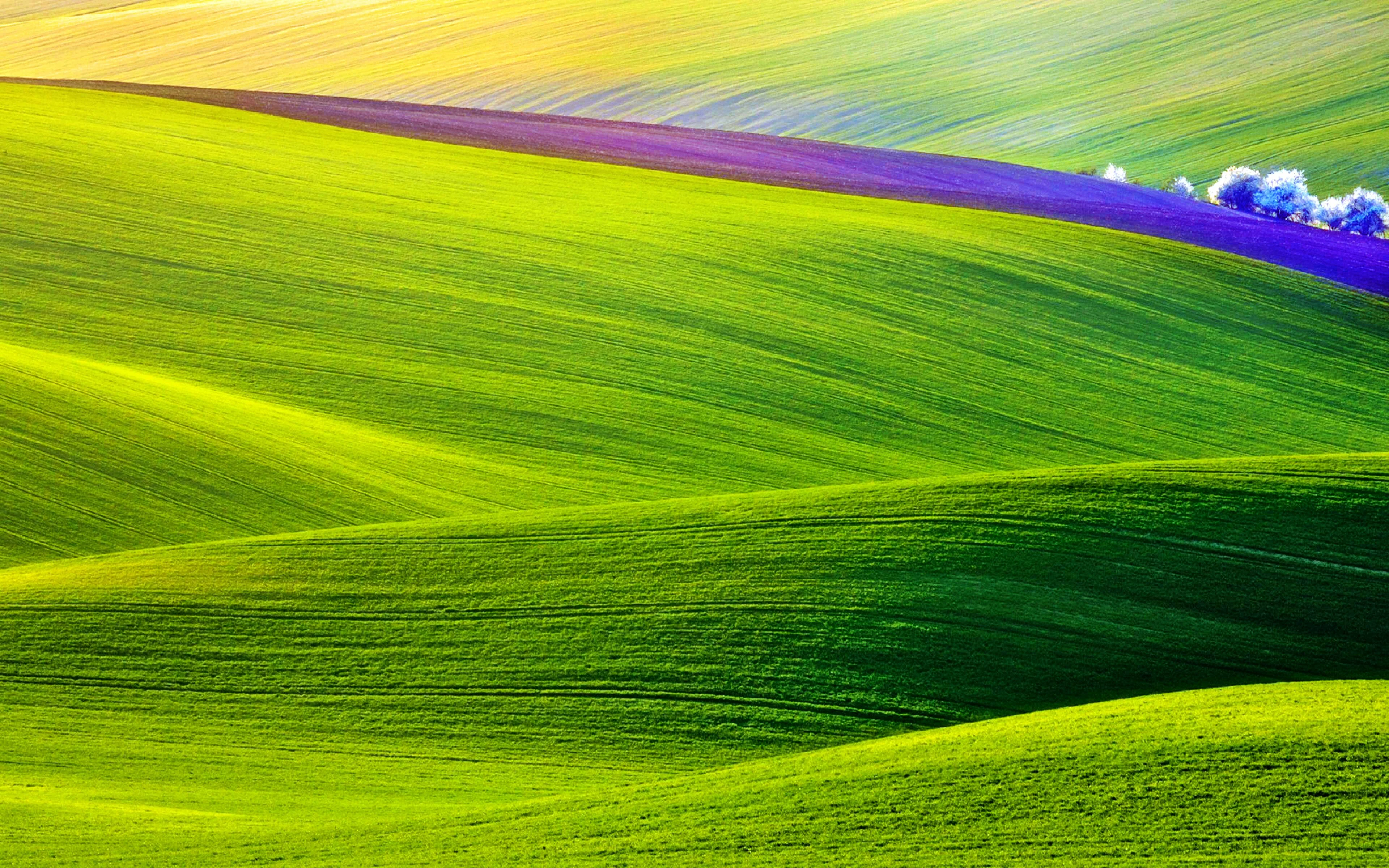 Wallpaper 4k – Hình nền 4k đẹp nhất 2026