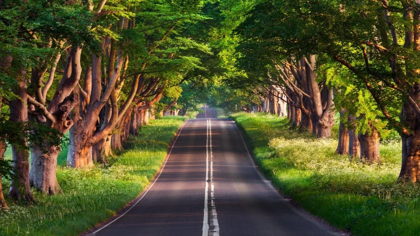 Tai hinh nen 4k cho may tinh