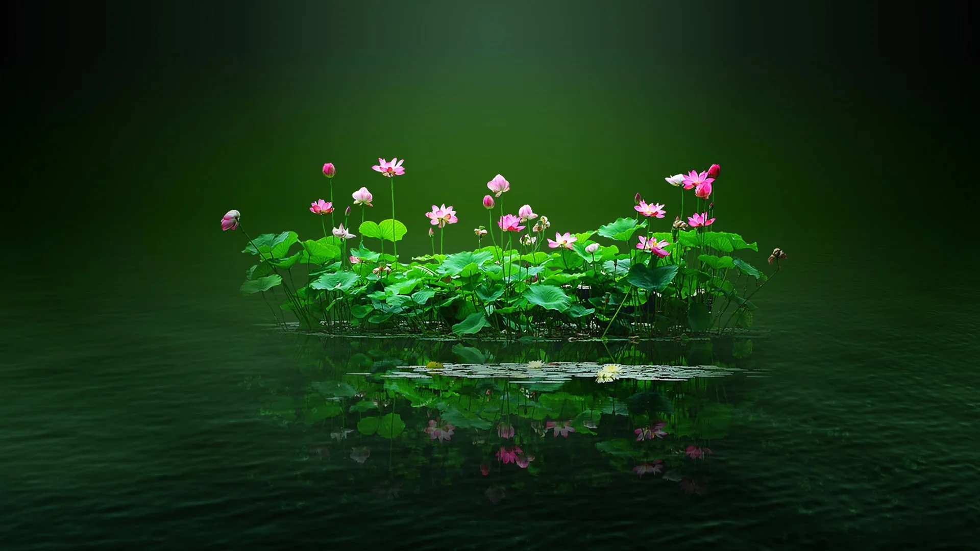 Hình nền máy tính Full HD